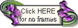 Select the no frames view